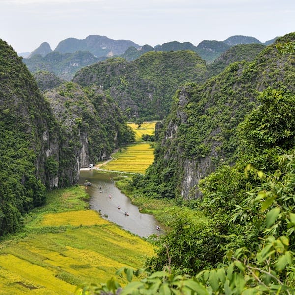 2 for 1 Vietnam & Tokyo: Von Nord bis Süd zum Neonlicht