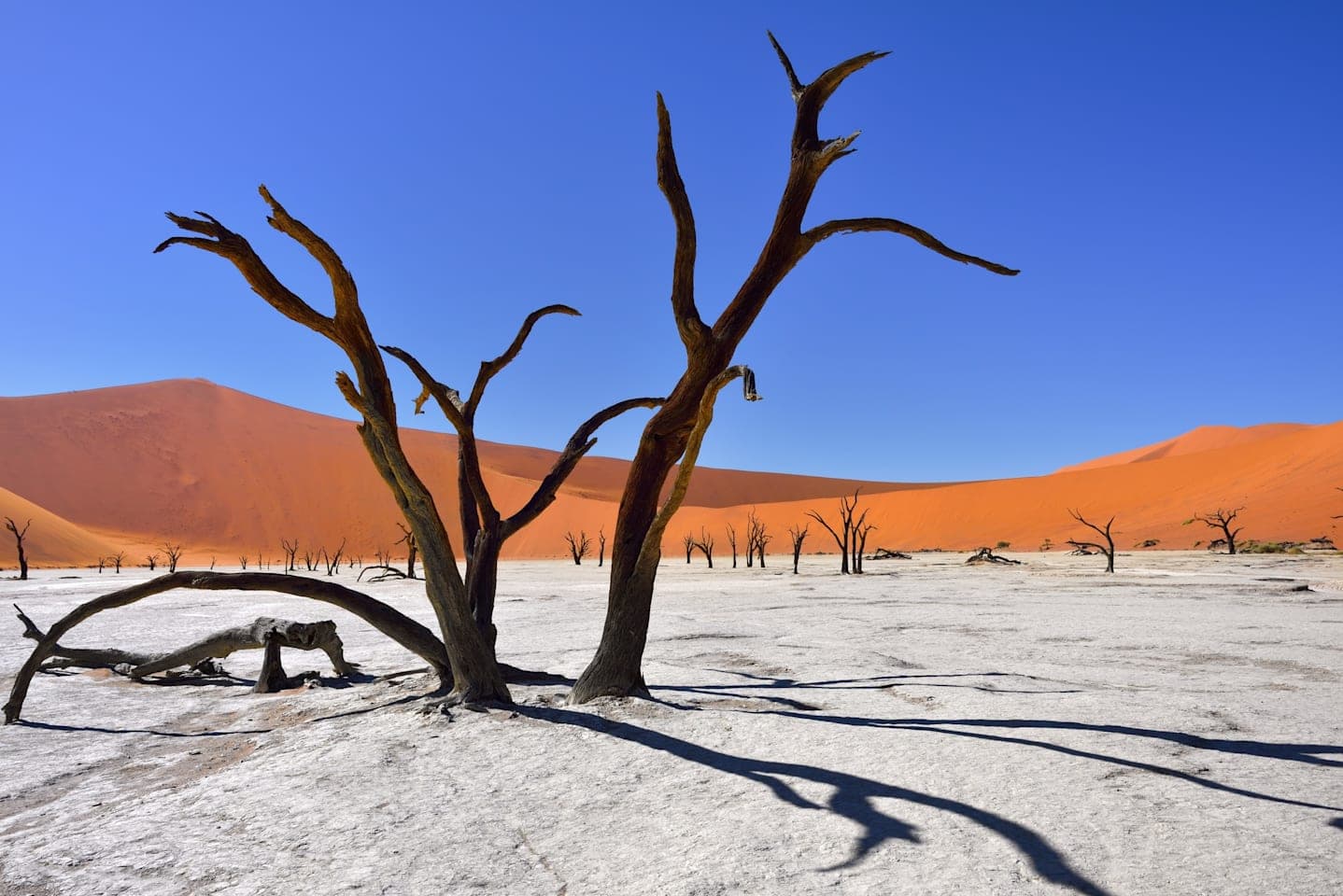 Sossusvlei & Deadvlei Tour thumbnail