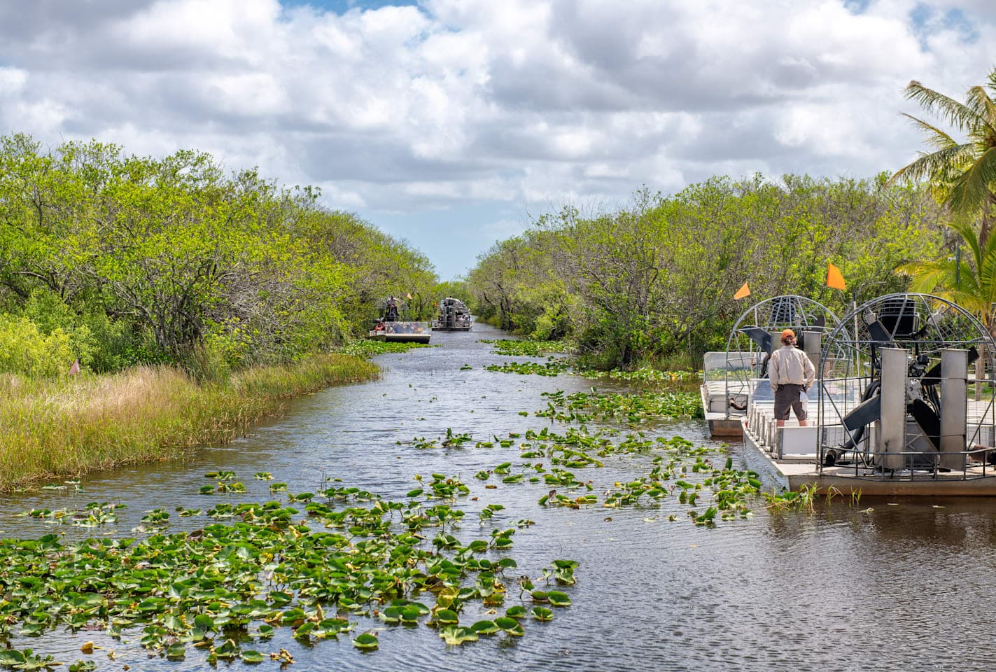 Everglades Airboat Tour & Naturspaziergang thumbnail