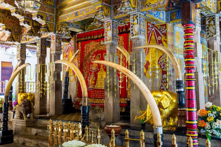 Tour zum “Temple of the Tooth” am Morgen in deiner journaway Gruppe thumbnail